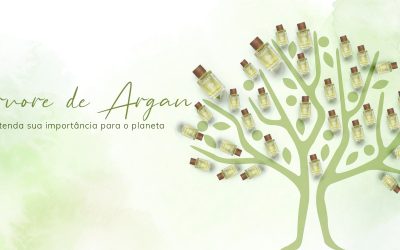 Árbol de argán: entiende su importancia para el planeta